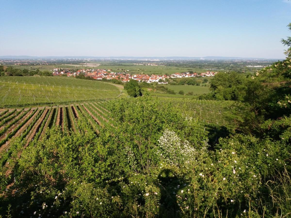 Ferienwohnung Lingenfelder Bad Dürkheim Zewnętrze zdjęcie